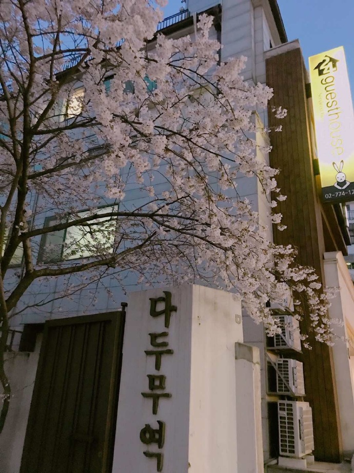 南山下的住宅
